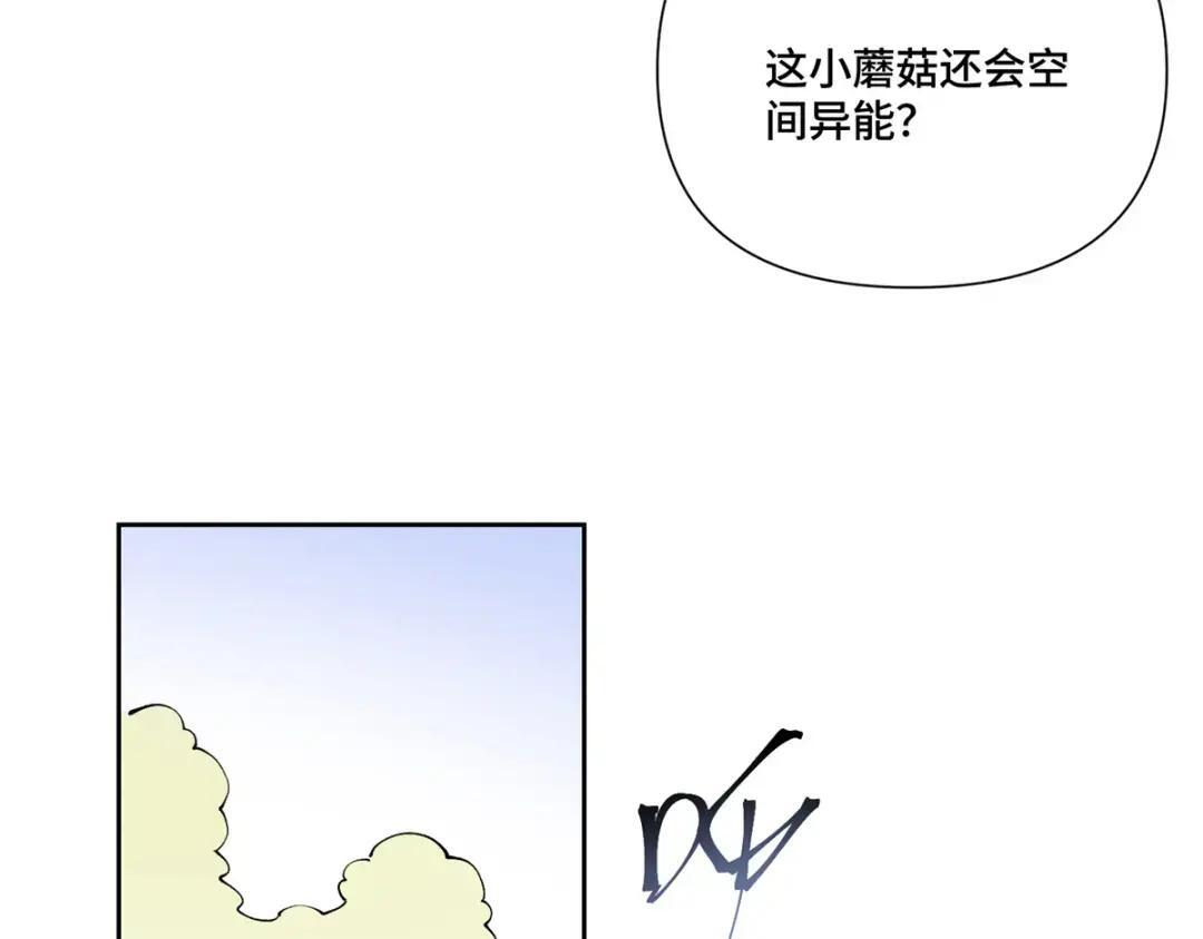 194 是蘑菇哦！ 第63页