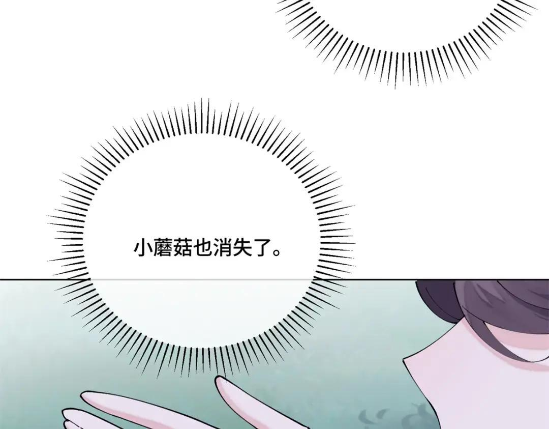 195 神奇小蘑菇 第41页