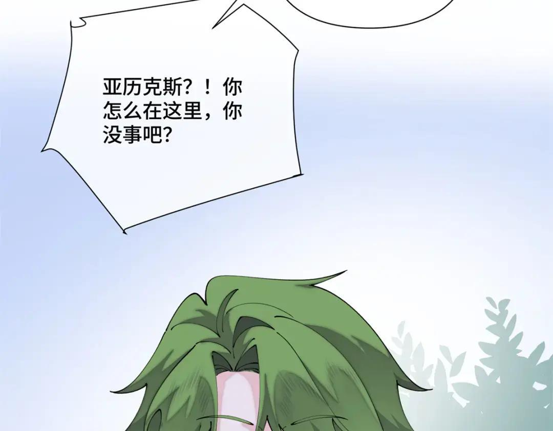 195 神奇小蘑菇 第45页