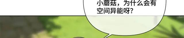 198 蘑菇是只傻蘑菇！ 第40页