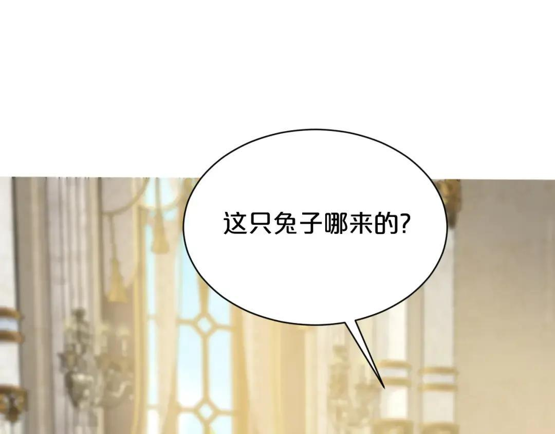 番外——一只垂耳兔？ 第3页