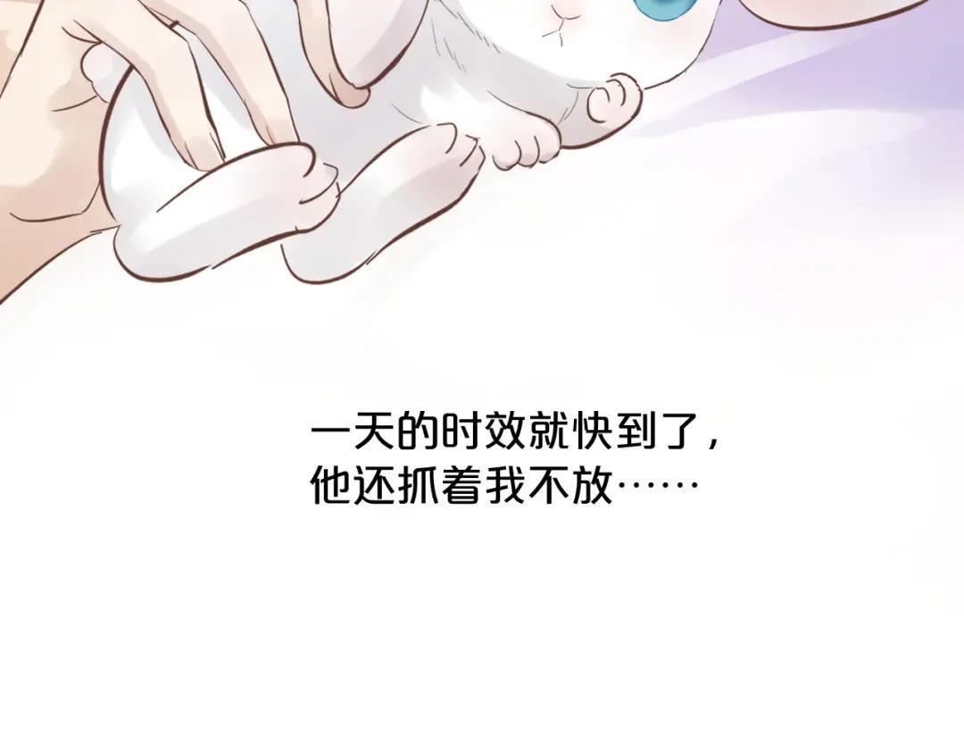 番外——一只垂耳兔？ 第31页