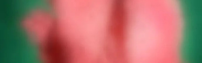 第49话 第66页