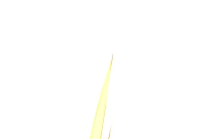 第56话 第300页