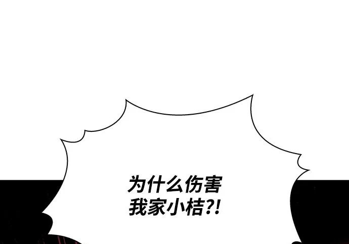 第63话 第251页