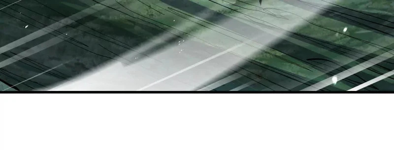 湖之王 第97页