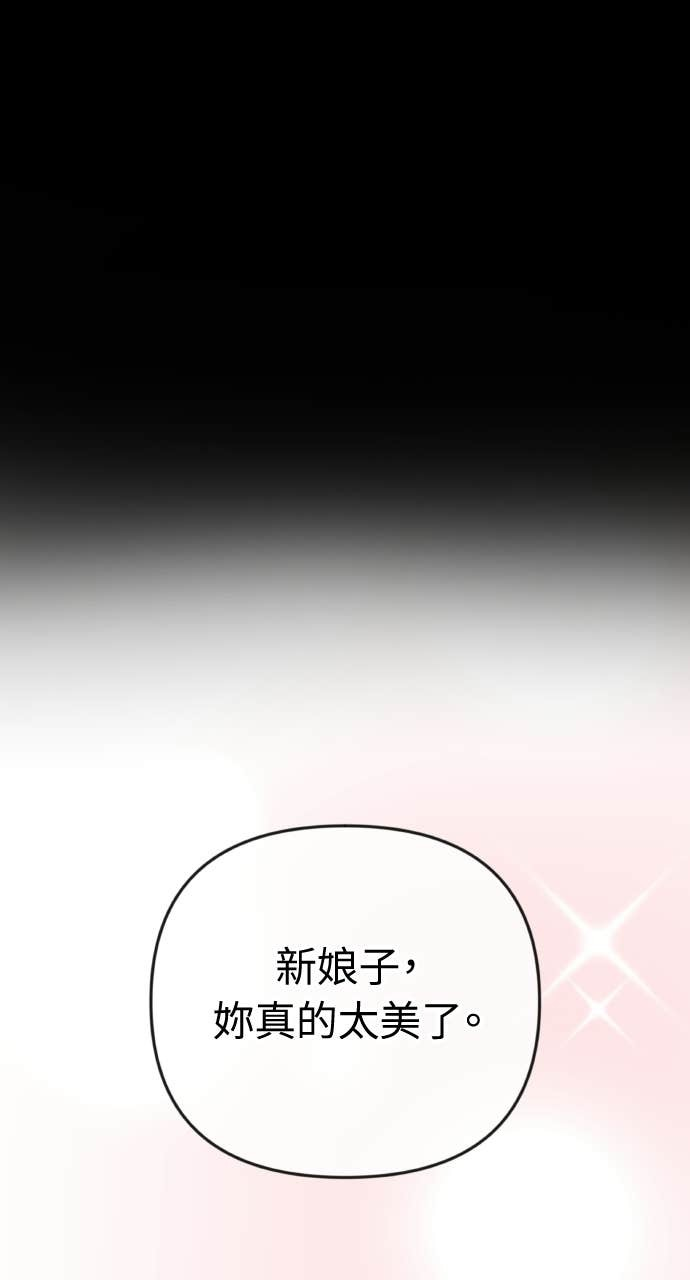 第45话 第二次婚礼 第66页