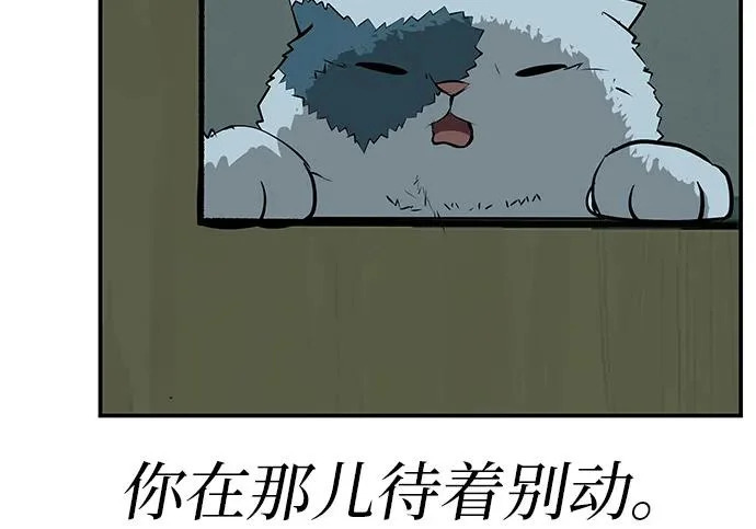 [第71话] 愿我所到之处总有你在 第268页