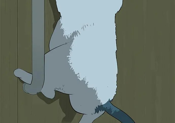 [第71话] 愿我所到之处总有你在 第270页