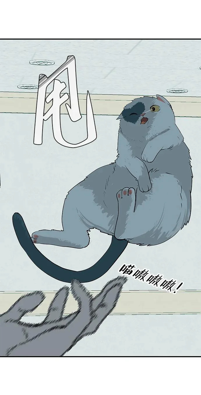 [第71话] 愿我所到之处总有你在 第300页