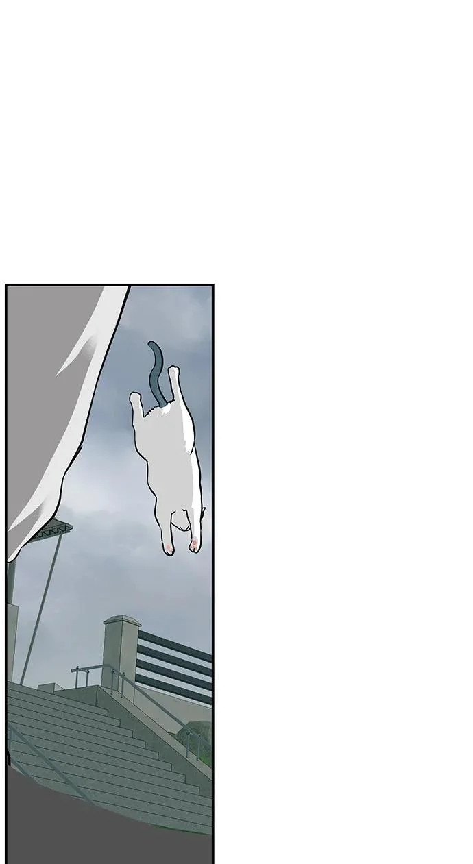 [第78话] 如果一切都不变… 第261页