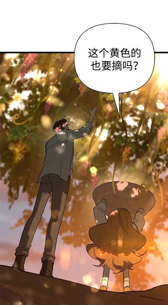 [第35话] 爷爷的葡萄树 第32页