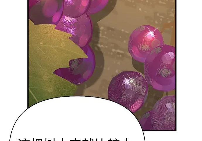 [第35话] 爷爷的葡萄树 第50页