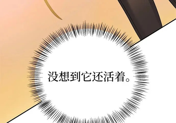 [第35话] 爷爷的葡萄树 第92页