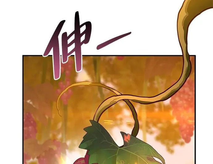 [第35话] 爷爷的葡萄树 第94页