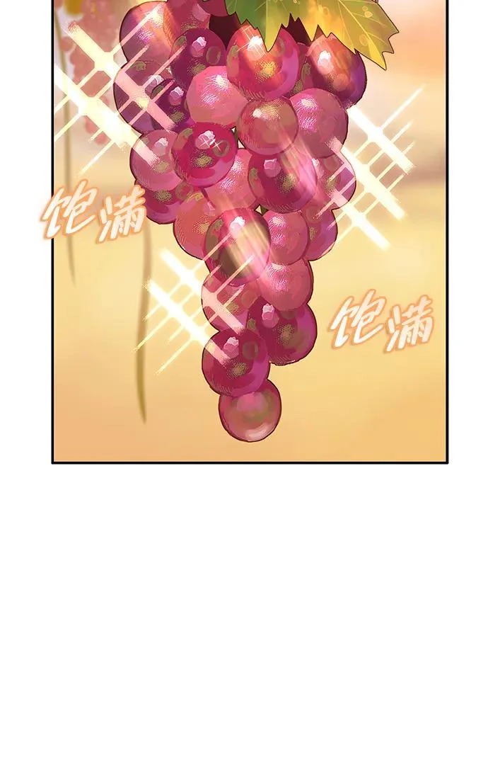 [第35话] 爷爷的葡萄树 第95页
