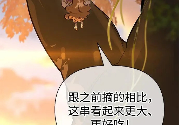[第35话] 爷爷的葡萄树 第98页