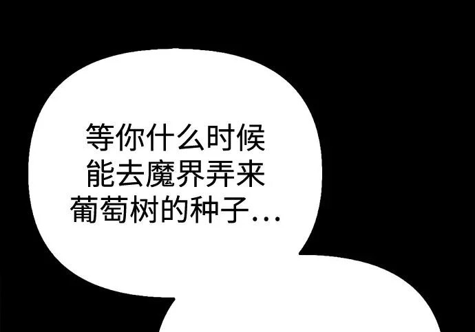 [第35话] 爷爷的葡萄树 第217页