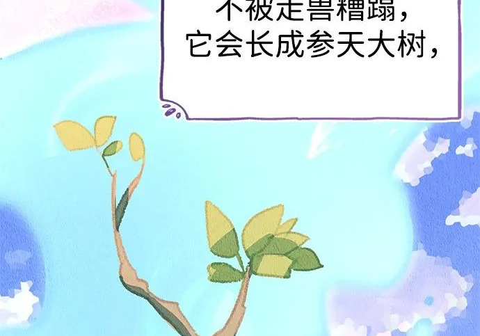 [第35话] 爷爷的葡萄树 第246页