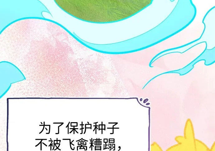[第35话] 爷爷的葡萄树 第250页