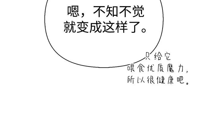 [第38话] 帮手 第148页