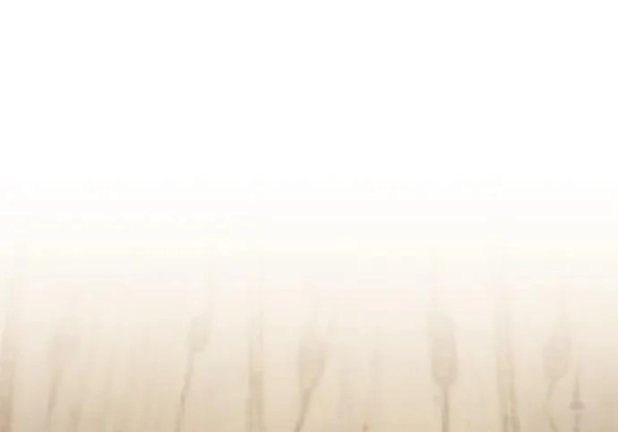 [第51话] 海边村庄（第1季 最终话） 第60页
