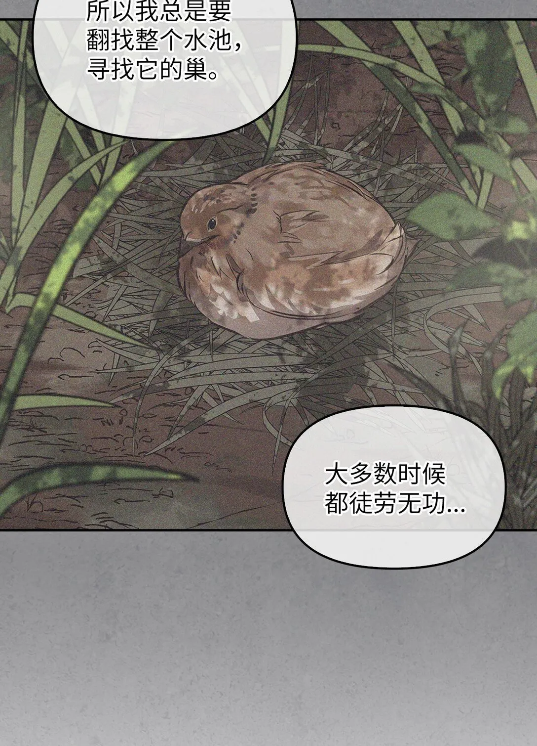009 礼物 第19页