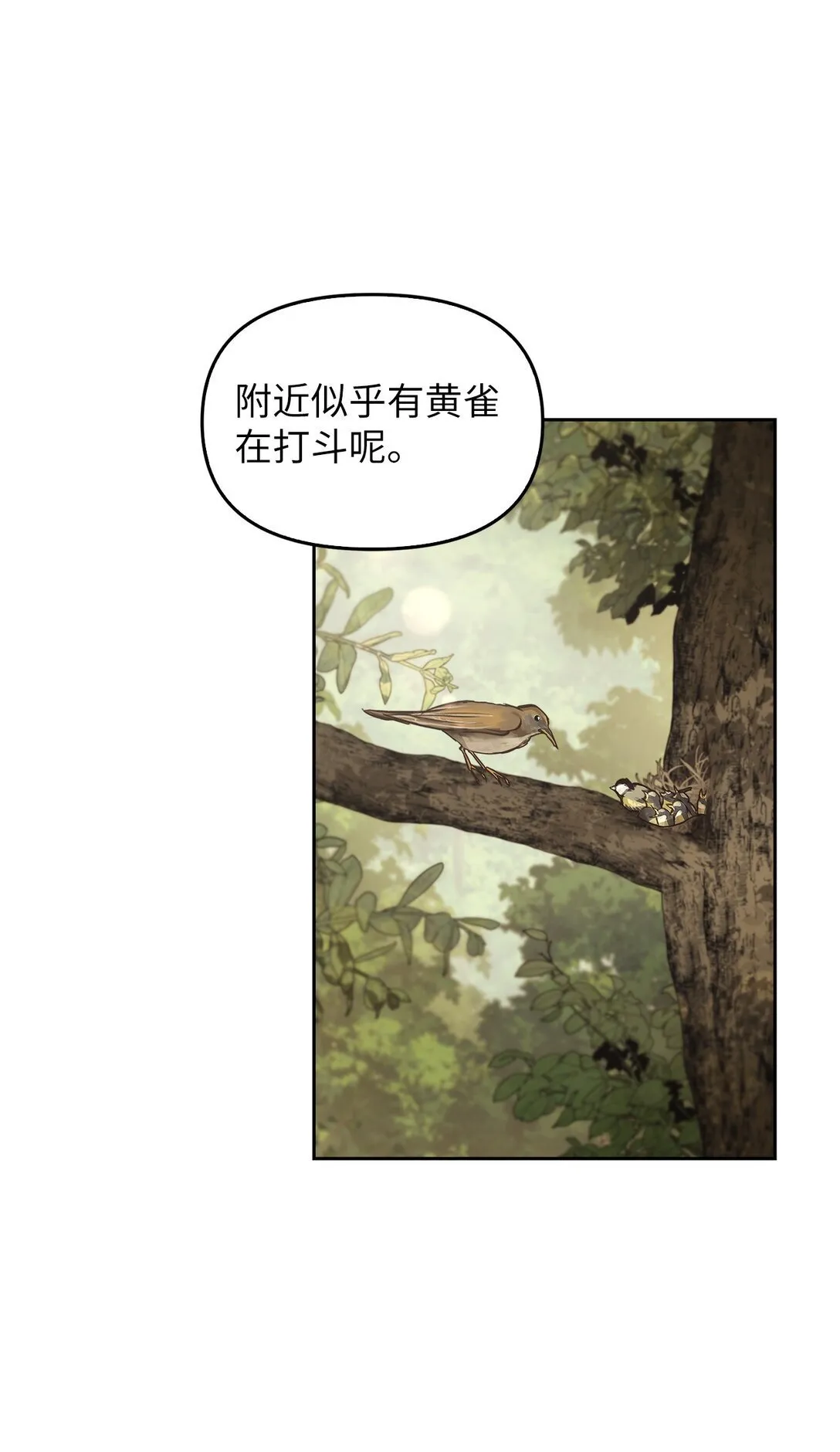 009 礼物 第52页