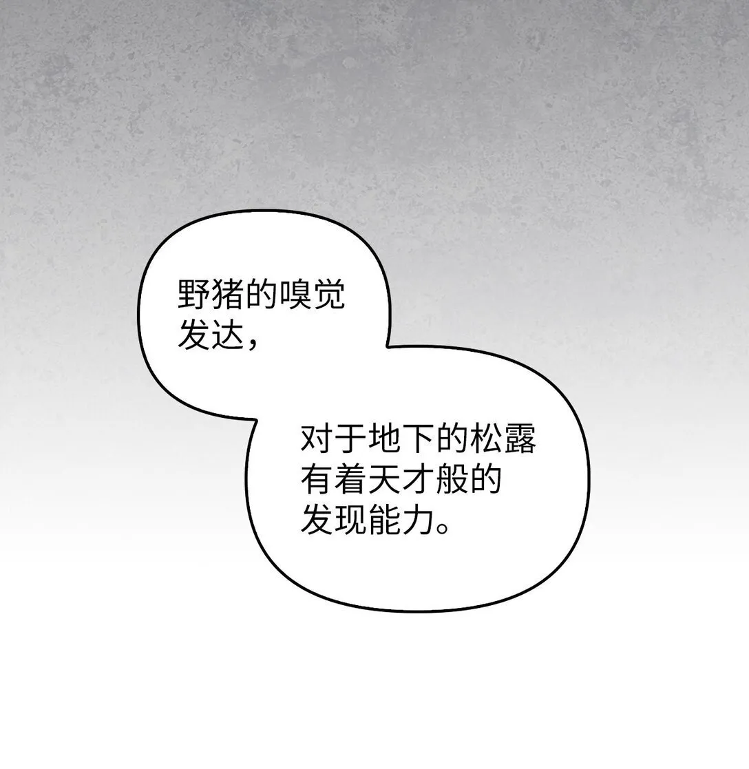 010 思念 第34页