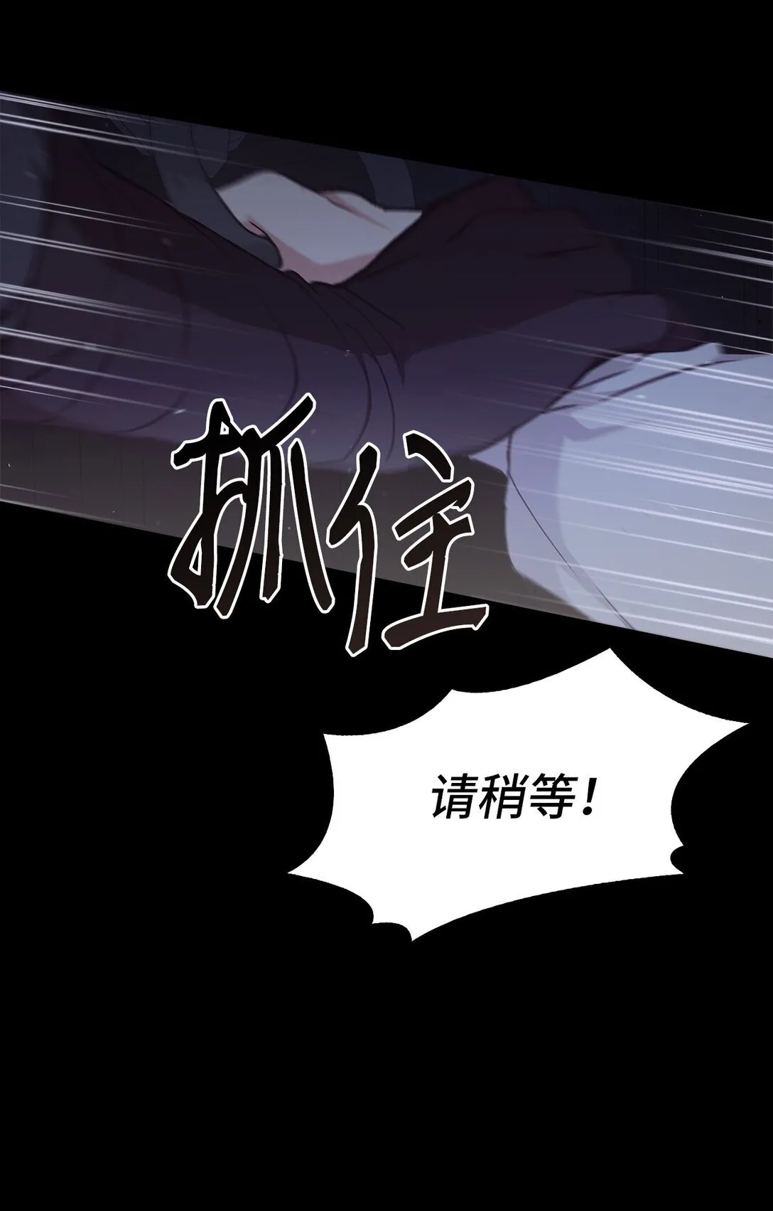 020 王妃发疯 第23页