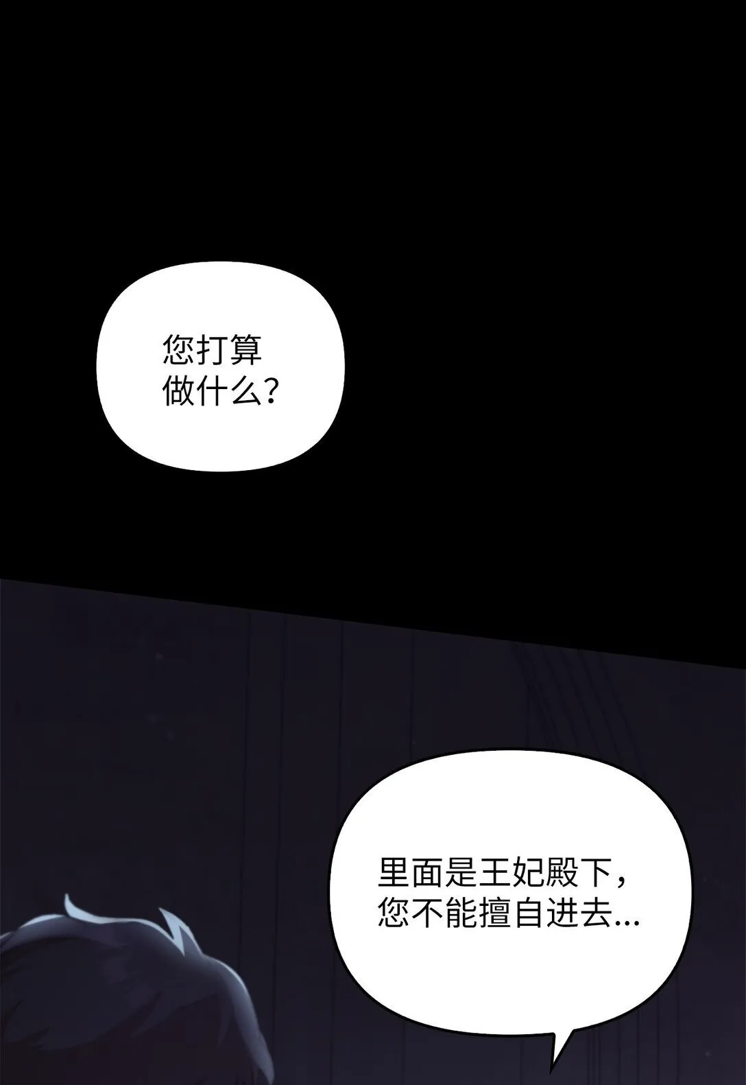 020 王妃发疯 第24页