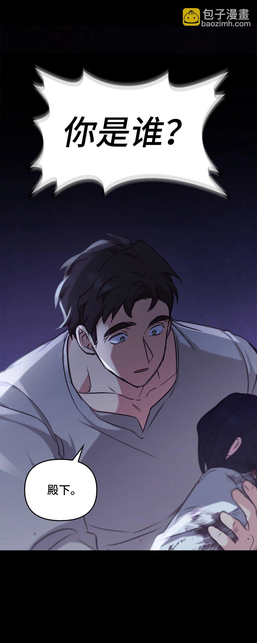 020 王妃发疯 第41页