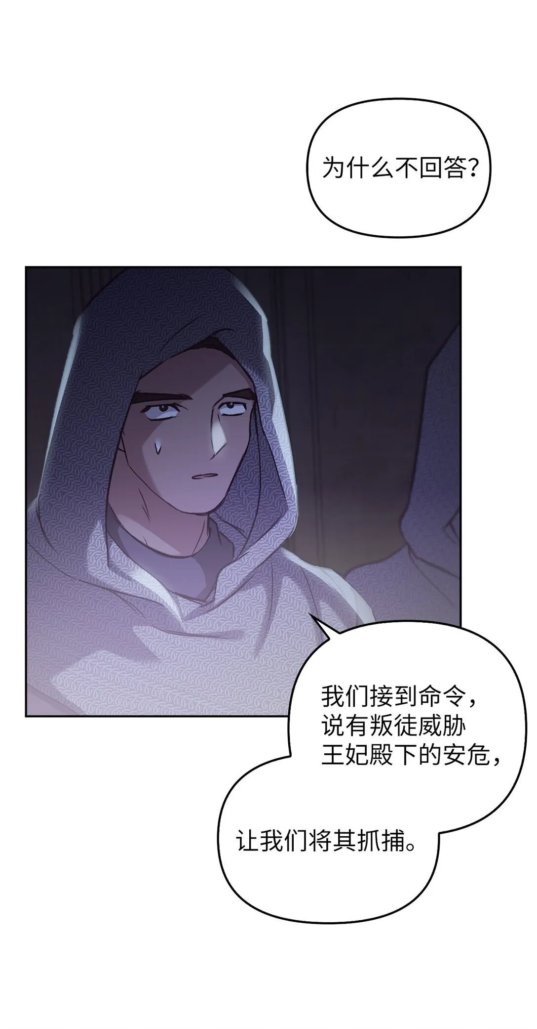 020 王妃发疯 第68页