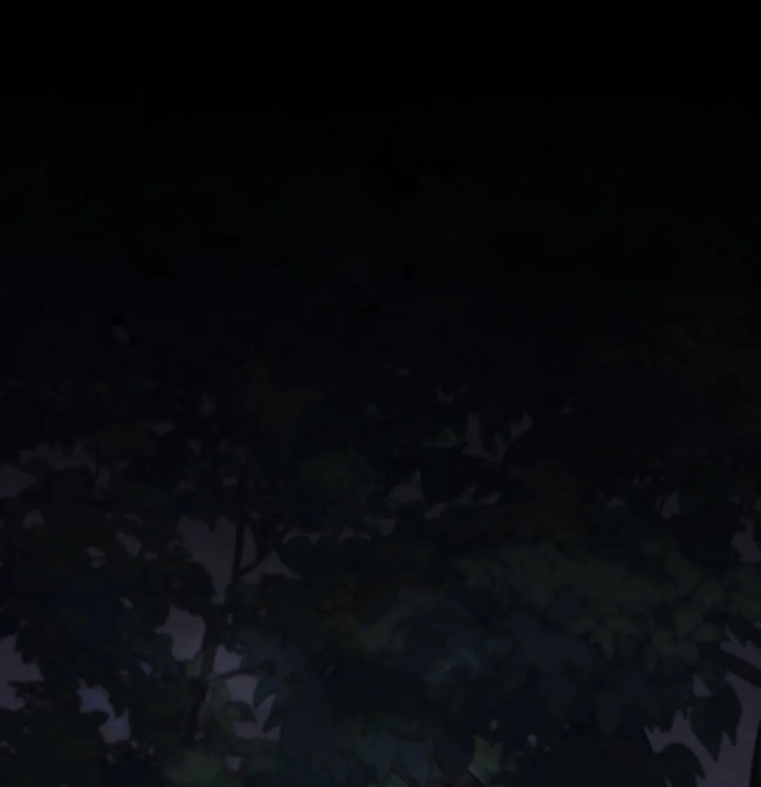 022 再入祈祷之泉 第9页