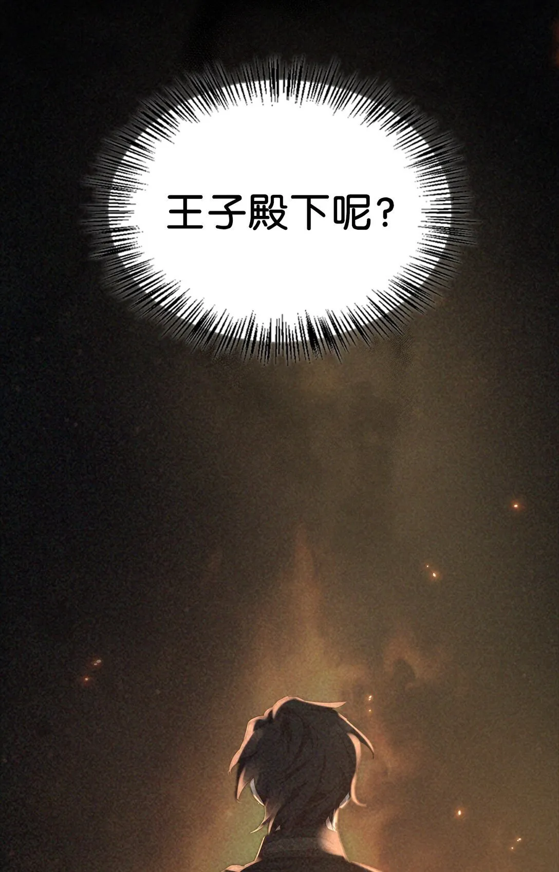 024 去见梅尔蒙 第12页