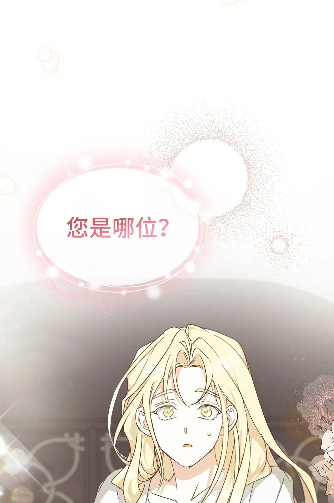 024 去见梅尔蒙 第24页