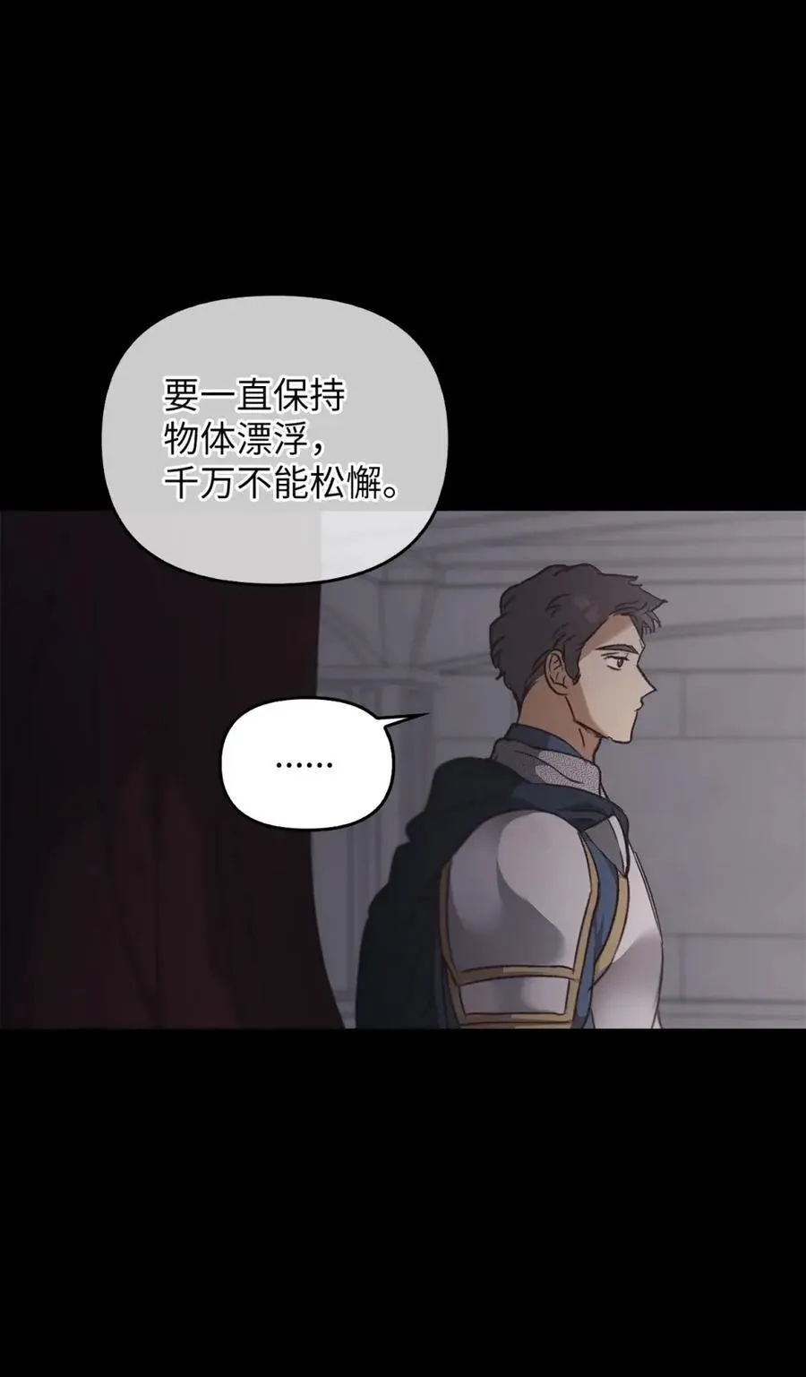 027 去见陛下 第11页