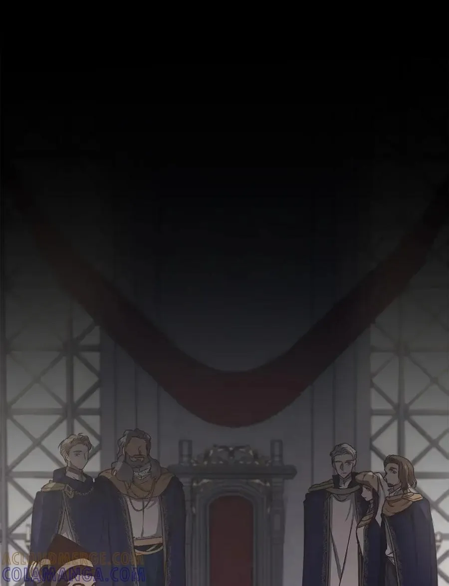 027 去见陛下 第17页