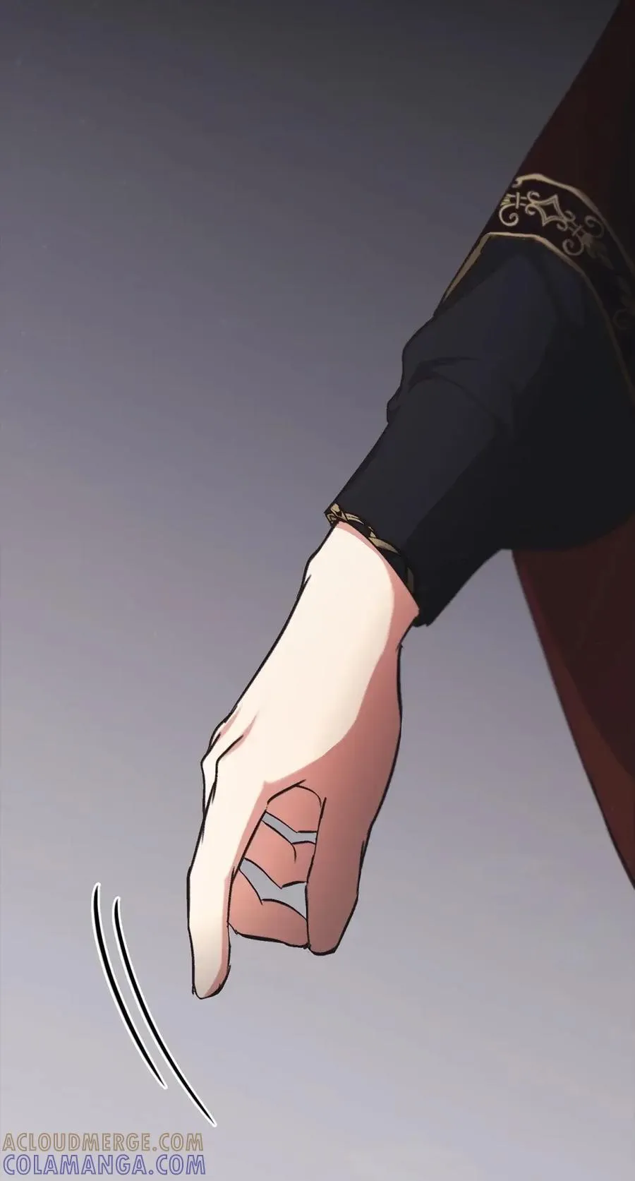 027 去见陛下 第21页