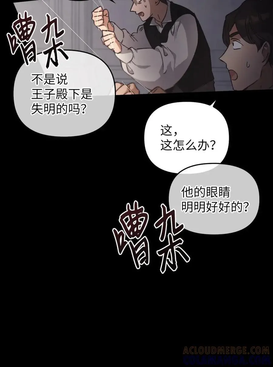027 去见陛下 第29页