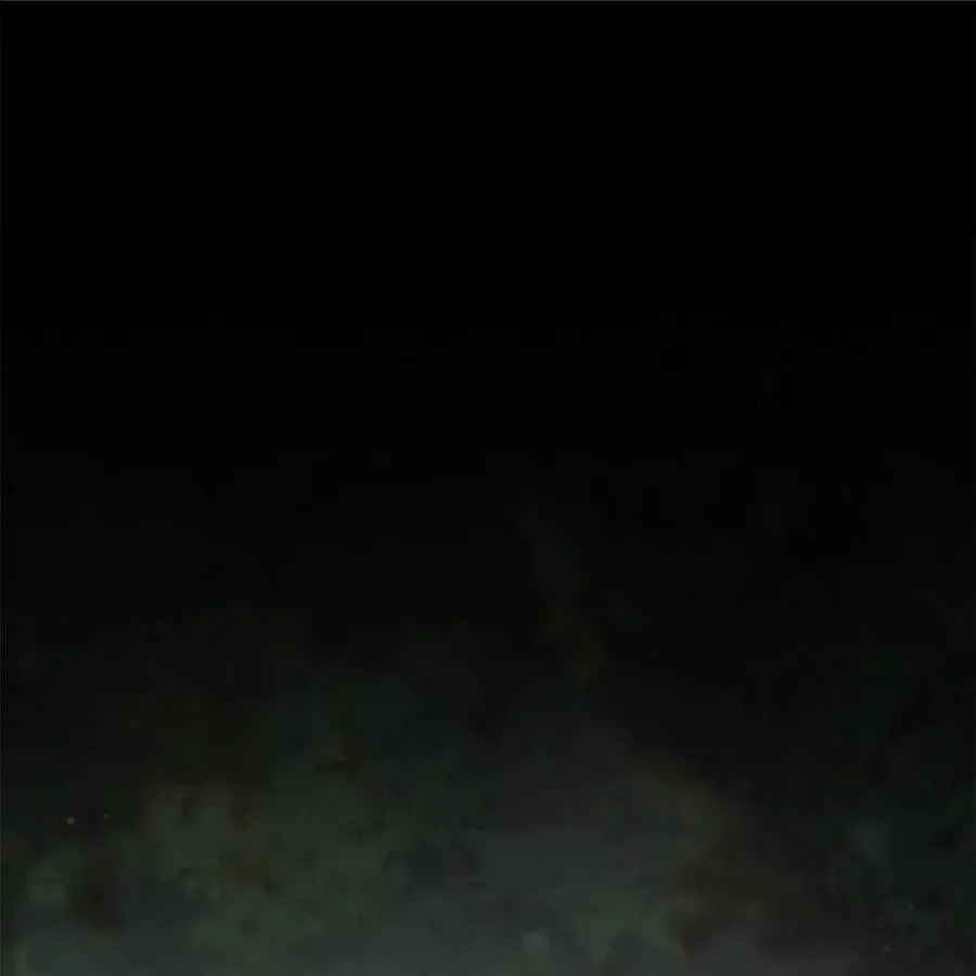 031 找寻之路 第10页