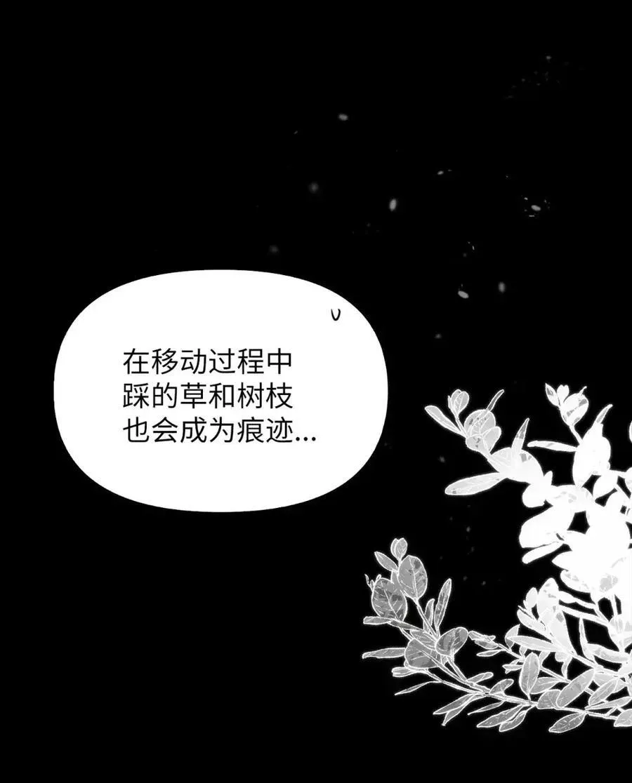 031 找寻之路 第66页