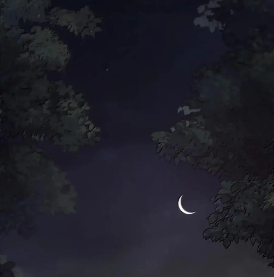 038 熊出没 第2页