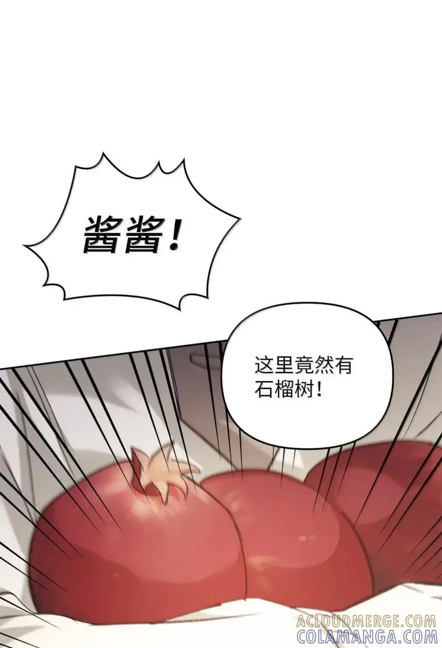039 石榴 第25页
