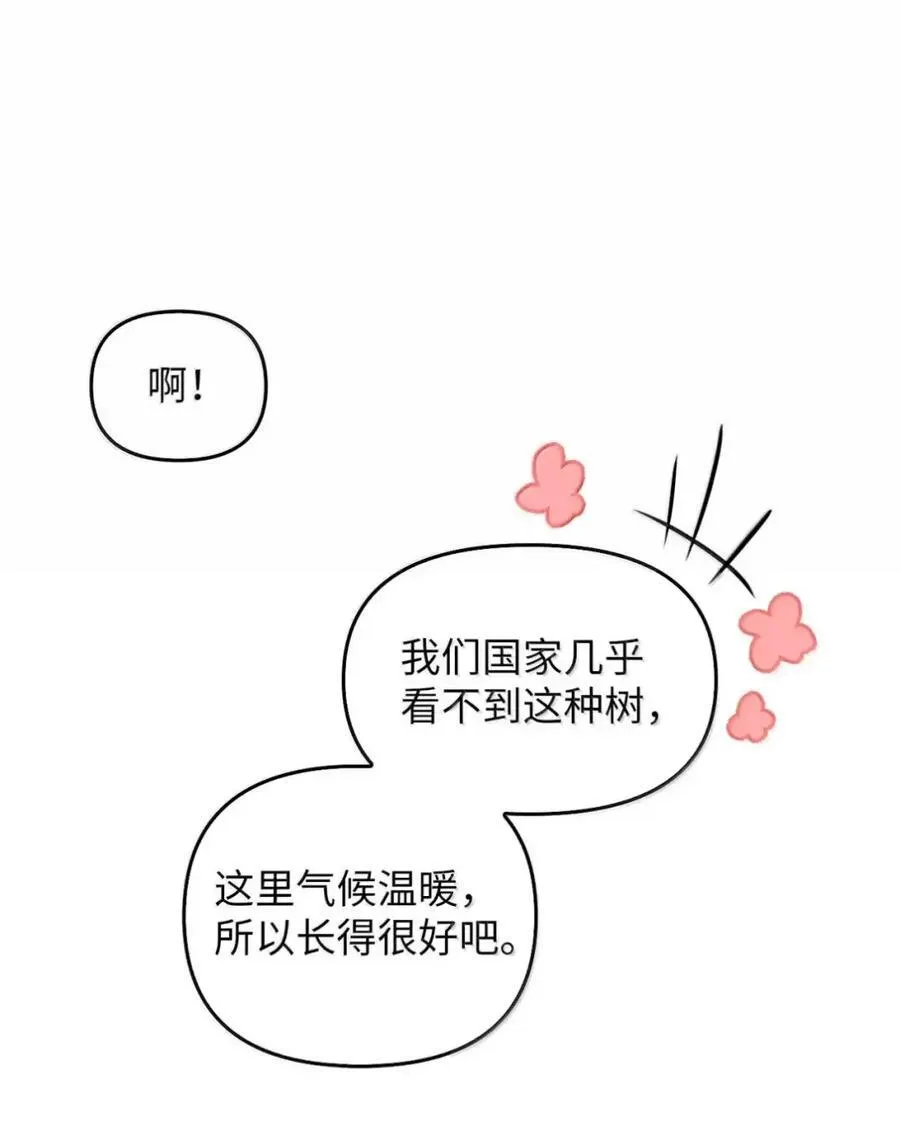 039 石榴 第27页