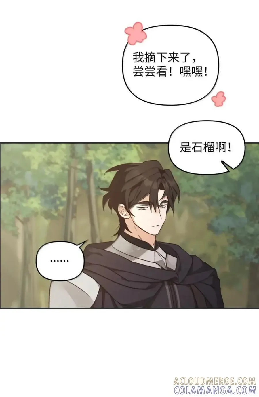 039 石榴 第28页