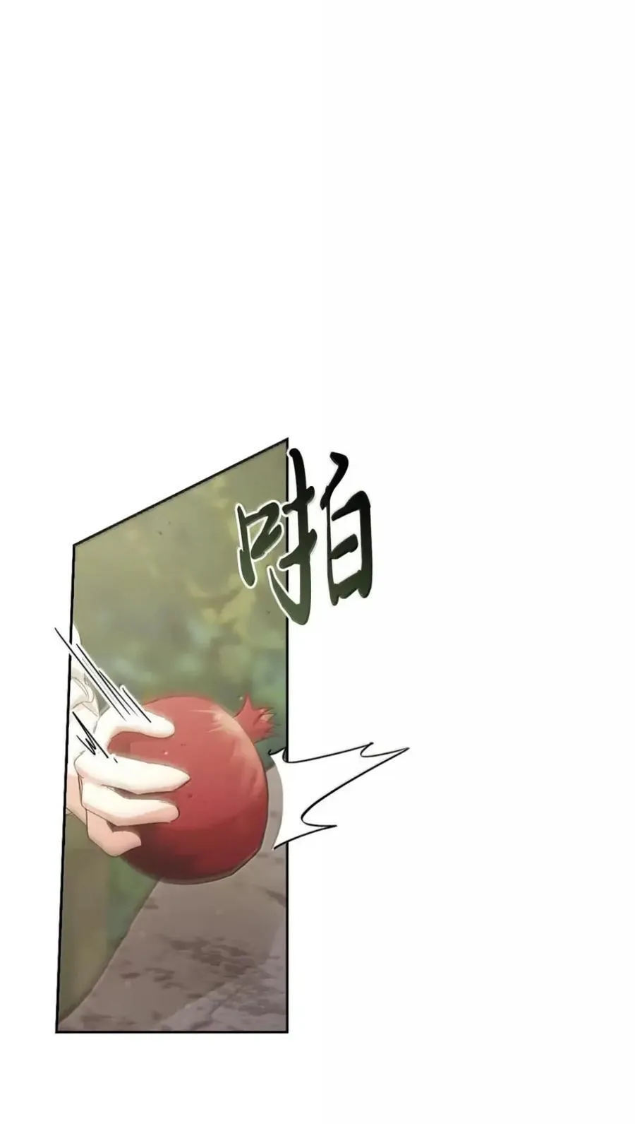039 石榴 第33页