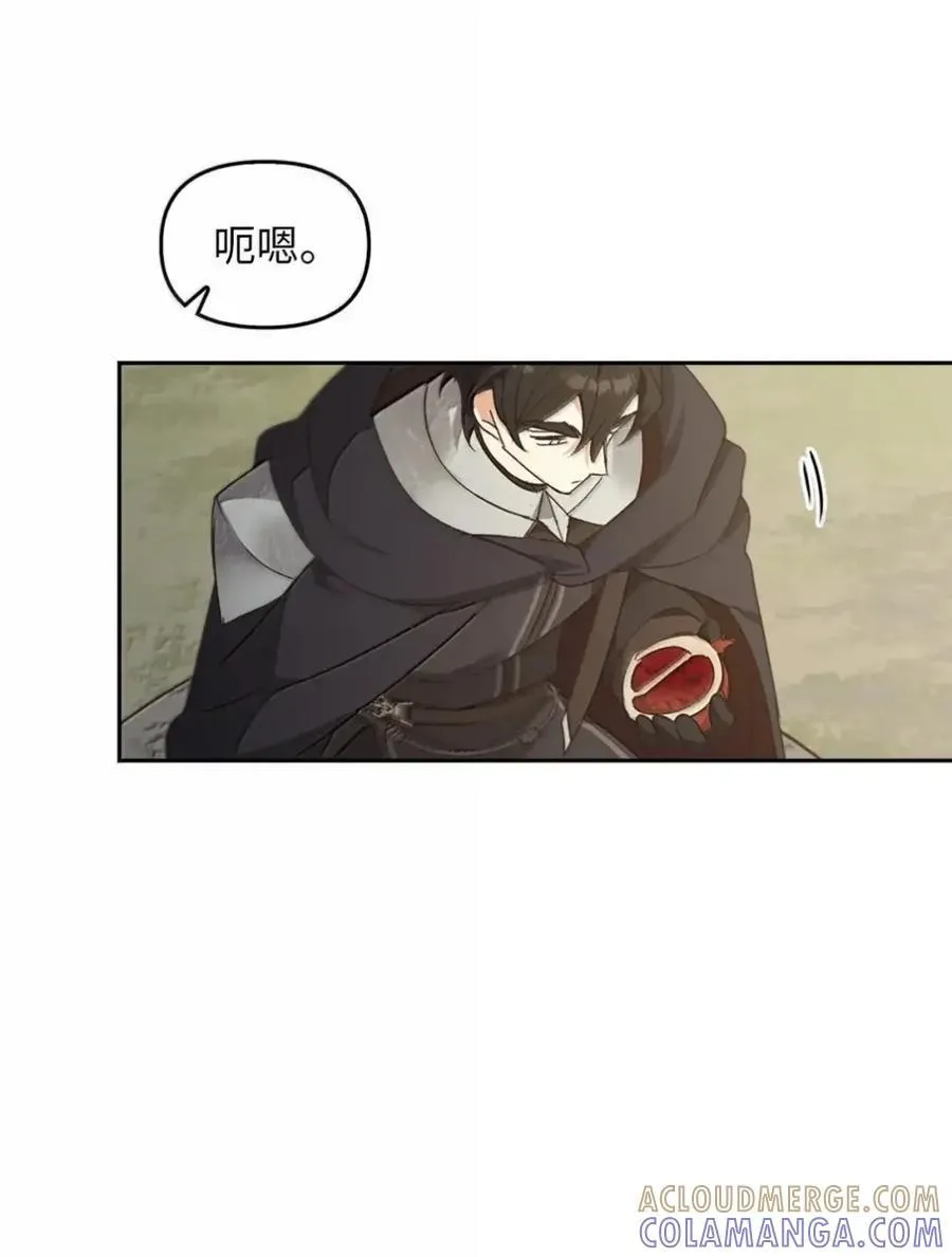 039 石榴 第40页