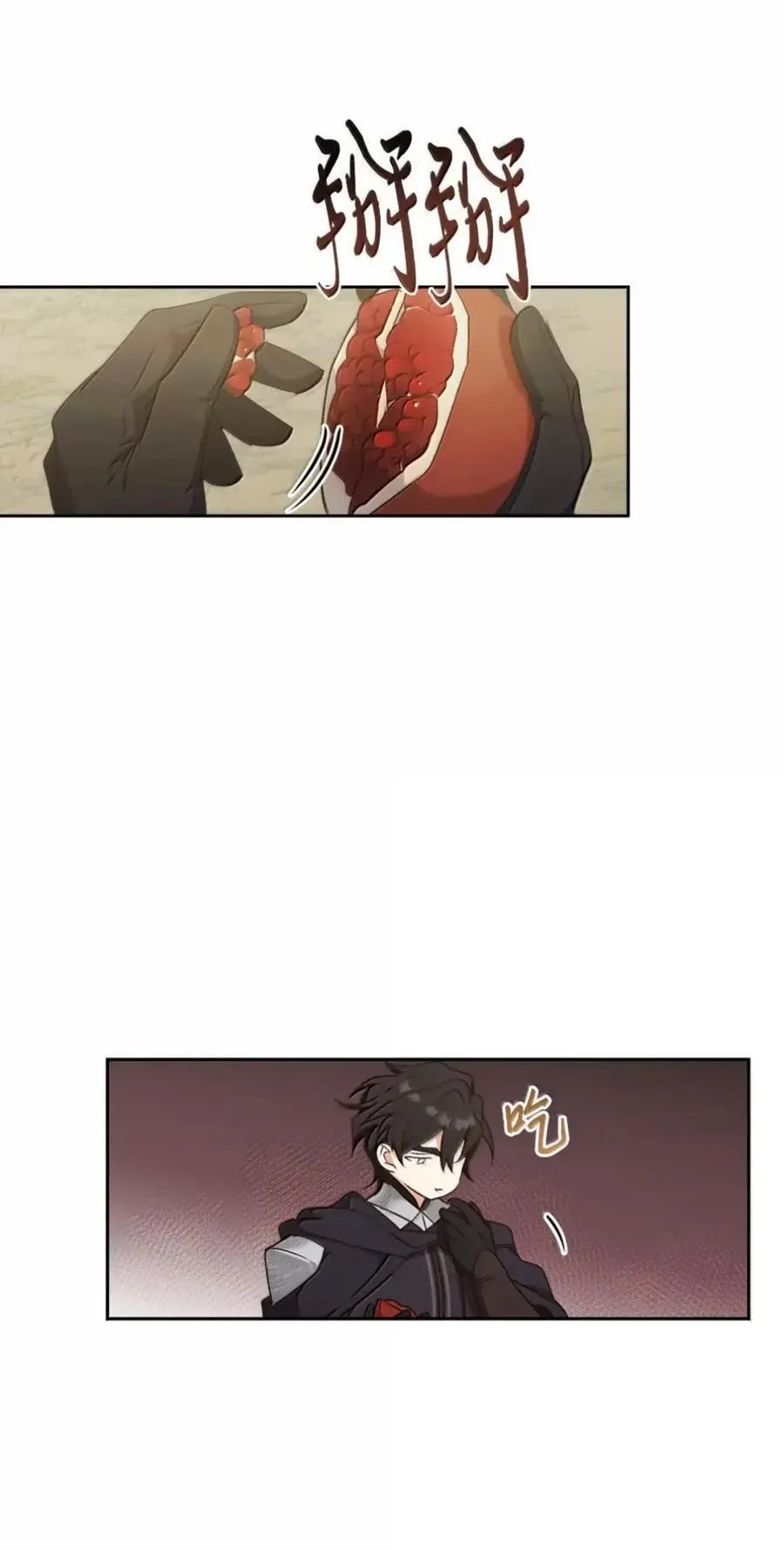 039 石榴 第41页