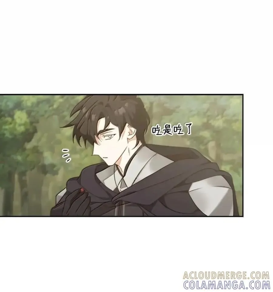 039 石榴 第46页